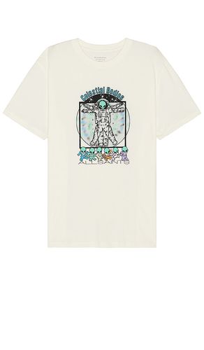 Bodies Tee in White. - size L (also in M, S) - ALLSAINTS - Modalova