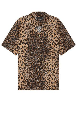 Leoza Shirt in . Size M, S, XL/1X - ALLSAINTS - Modalova