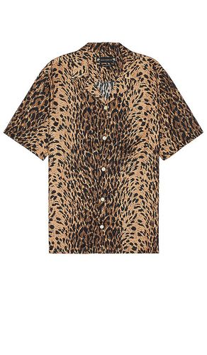Leoza Shirt in . Size M, XL/1X - ALLSAINTS - Modalova