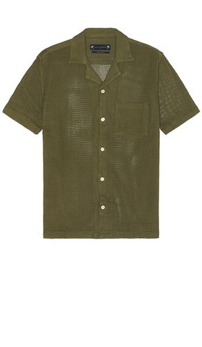 Camisa en color verde oliva talla L en - Olive. Talla L (también en M, S, XL/1X) - ALLSAINTS - Modalova