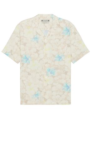 Nevada Shirt in . Taglia M, S - ALLSAINTS - Modalova