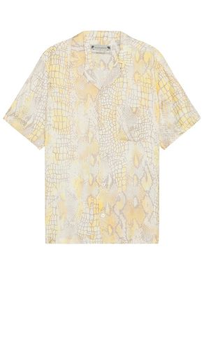 Skrale Shirt in Yellow. - size L (also in M, S) - ALLSAINTS - Modalova