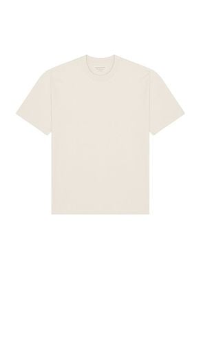 Xander Short Sleeve Crew in White. - size L (also in M, S) - ALLSAINTS - Modalova