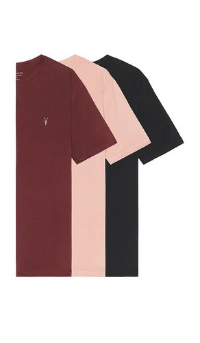 Brace Crew 3 Pack Tees in . Size L. Also in M, S, XL/1X - ALLSAINTS - Modalova