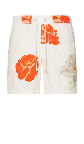 Roze Swim Short in White. - size M (also in XL/1X) - ALLSAINTS - Modalova