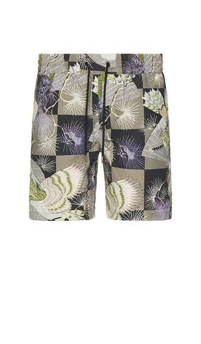 Sebastian Swim Short in Grey. - size L (also in M, S, XL/1X) - ALLSAINTS - Modalova