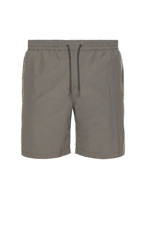 Haven Swim Shorts in Grey. - size M (also in S, XL/1X) - ALLSAINTS - Modalova