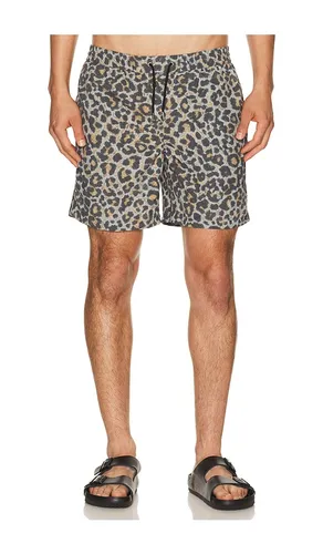 Silesia Swimshort in . Size L. Also in S, XL/1X - ALLSAINTS - Modalova