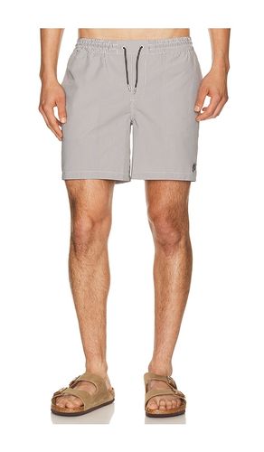 Ciper Stripe Swimshort in . Size L. Also in XL/1X - ALLSAINTS - Modalova
