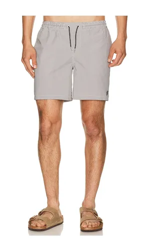 Ciper Stripe Swimshort in . Taglia L. Also in M, XL/1X - ALLSAINTS - Modalova