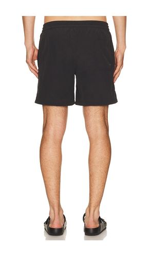 SHORTS ODYSSEY in . Größe M. Also in S, XL/1X - ALLSAINTS - Modalova