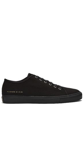 Theo Low Top in . - size 13 (also in 7, 8) - ALLSAINTS - Modalova