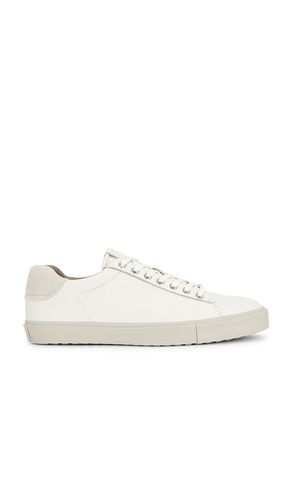 Tucker Low Top Sneaker in . - size 8 (also in 9, 10, 11, 12, 13, 7) - ALLSAINTS - Modalova
