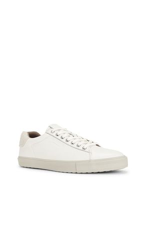 Tucker Low Top Sneaker in . Taglia 10. Also in 11, 12, 13, 7, 8, 9 - ALLSAINTS - Modalova