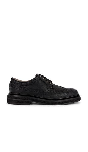 Escher Brogue Shoe in . Size 11. Also in 12 - ALLSAINTS - Modalova