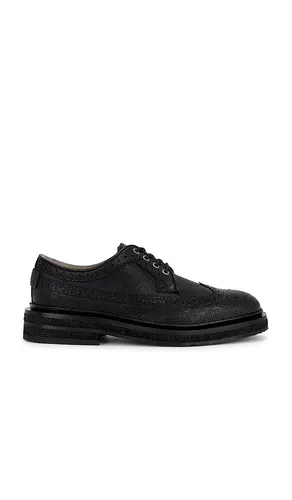 SCHUHE MIT LOCHMUSTER ESCHER in . Größe 11. Also in 12 - ALLSAINTS - Modalova