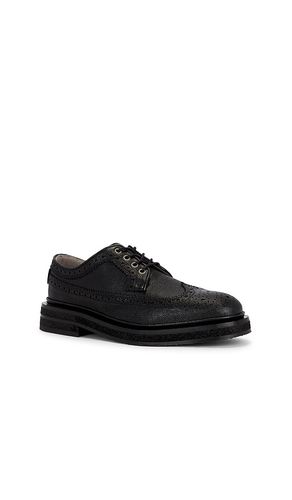 Escher Brogue Shoe in . Size 11. Also in 12 - ALLSAINTS - Modalova