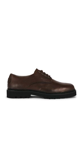 Skiff Derby in Brown. - size 10 (also in 11, 12, 13, 8, 9) - ALLSAINTS - Modalova