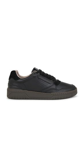 Regan Low Top in . - size 10 (also in 11, 12, 13, 8, 9) - ALLSAINTS - Modalova