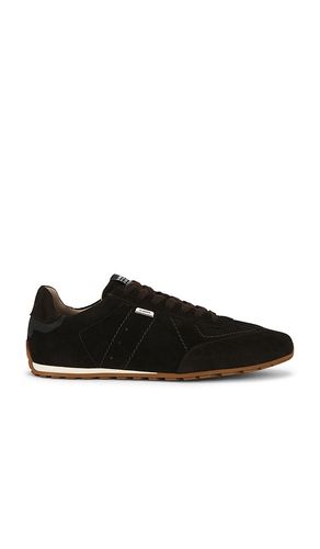SNEAKERS LIAM in . Größe 10. Also in 11 - ALLSAINTS - Modalova