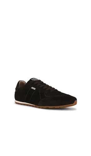 Liam Low Top Sneaker in . Size 10. Also in 11 - ALLSAINTS - Modalova
