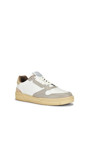 SNEAKERS REGAN in ,. Größe 7. Also in 11 - ALLSAINTS - Modalova