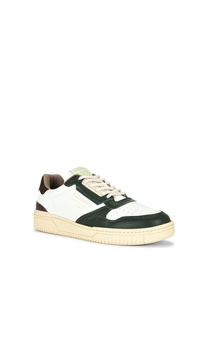 SNEAKERS in . Größe 10. Also in 11, 8, 9 - ALLSAINTS - Modalova