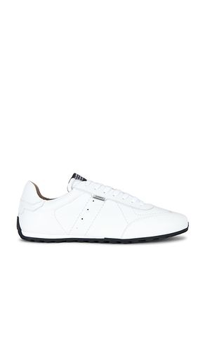 SNEAKERS LIAM in . Größe 8. Also in 9, 10, 11, 12 - ALLSAINTS - Modalova
