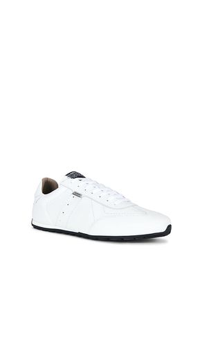 SNEAKERS LIAM in . Größe 10. Also in 11, 12, 8, 9 - ALLSAINTS - Modalova