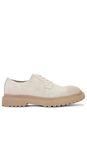 Mavor Shoe in Cream. - size 10 (also in 12, 8) - ALLSAINTS - Modalova