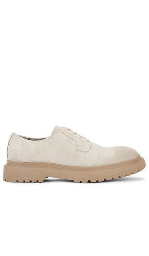 Mavor Shoe in Cream. - size 11 (also in 12, 8) - ALLSAINTS - Modalova