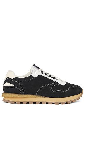 Rimini Low Top in . - size 8 (also in 9) - ALLSAINTS - Modalova