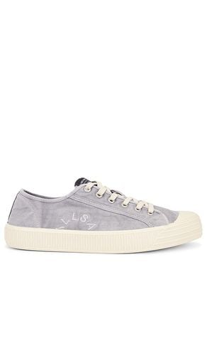 Sherman Low Top in . - size 13 (also in 9) - ALLSAINTS - Modalova