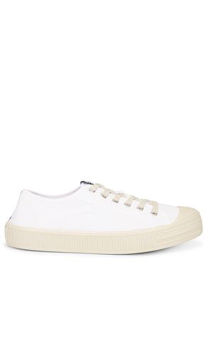 Sherman Low Top in . - size 8 (also in 9) - ALLSAINTS - Modalova