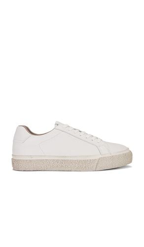 Klop Leather Low Top in . - size 13 (also in 7, 9) - ALLSAINTS - Modalova