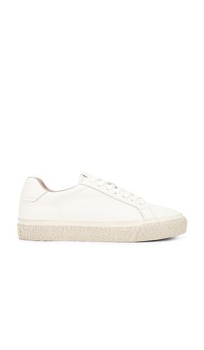 Klop Lthr Low Top in . - size 10 (also in 11, 12, 13, 9) - ALLSAINTS - Modalova