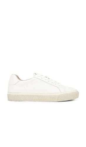 Klop Lthr Low Top in . - size 13 (also in 9) - ALLSAINTS - Modalova