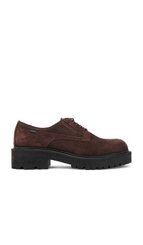 Hank Suede Derby in Brown. - size 10 (also in 11, 12, 13, 8, 9) - ALLSAINTS - Modalova