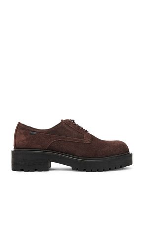 Hank Suede Derby in Brown. - size 11 (also in 13, 9) - ALLSAINTS - Modalova