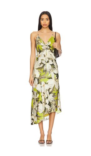 Alexia Dress in Green. - size 0 (also in 10, 2, 4, 6, 8) - ALLSAINTS - Modalova