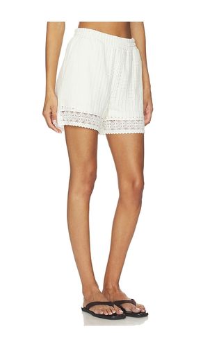 SHORTS ELMA CROCHET in . Größe M. Also in S, XS - ALLSAINTS - Modalova