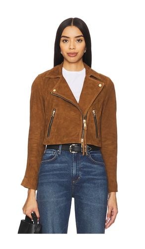 Dalby Crop Jacket in Cognac. - size 0 (also in 10, 12, 2, 4, 8) - ALLSAINTS - Modalova