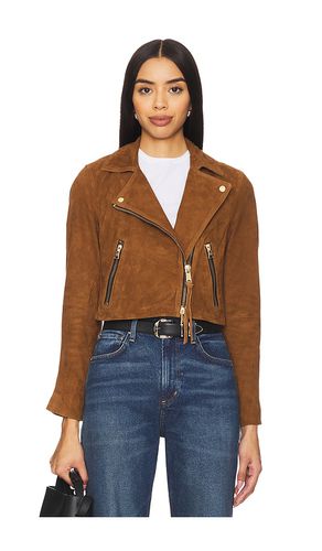 Dalby Crop Jacket in . Size 10, 12, 2, 4, 6, 8 - ALLSAINTS - Modalova