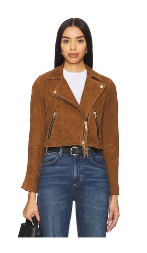 Dalby Crop Jacket in . Size 12, 4, 6 - ALLSAINTS - Modalova