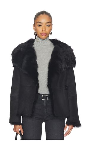 JACKE WILTON in . Größe M. Also in L - ALLSAINTS - Modalova