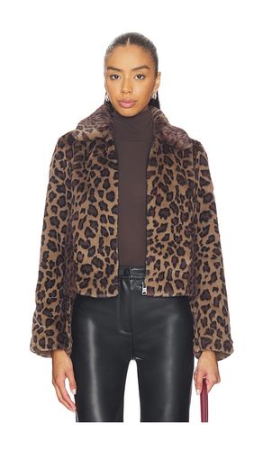 JACKE SAYE in . Größe S. Also in M - ALLSAINTS - Modalova