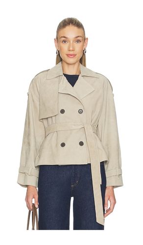 Reed Suede Jacket in Taupe. - size L (also in M) - ALLSAINTS - Modalova