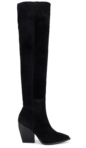 Bota de ante reina en color talla 35 en - Black. Talla 35 (también en 37) - ALLSAINTS - Modalova