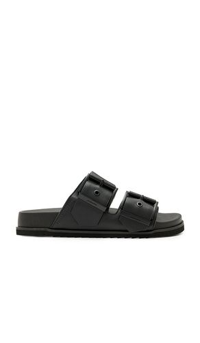 Sian Sandal in . - size 36 (also in 37, 37.5, 38, 38.5, 39, 40) - ALLSAINTS - Modalova