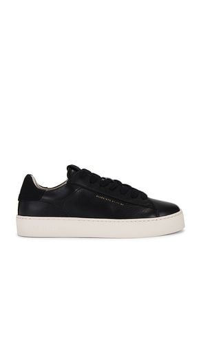 Zapatilla deportiva shana en color talla 35 en - Black. Talla 35 (también en 36, 37, 38, 39, 40, 41) - ALLSAINTS - Modalova